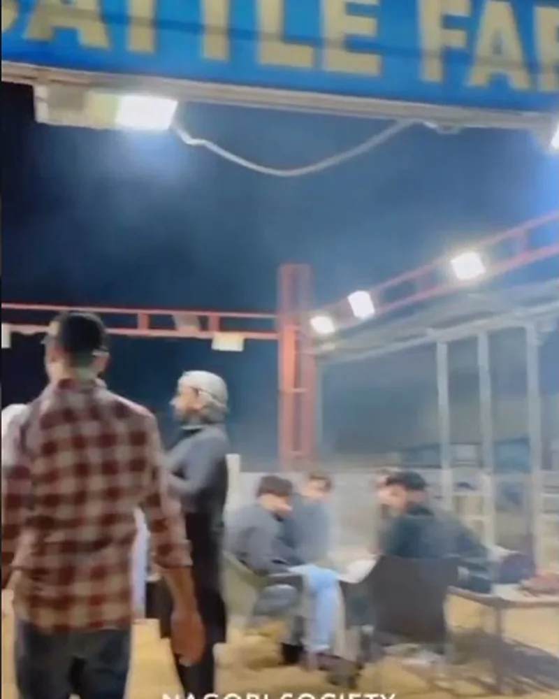 BBQ night at the farm