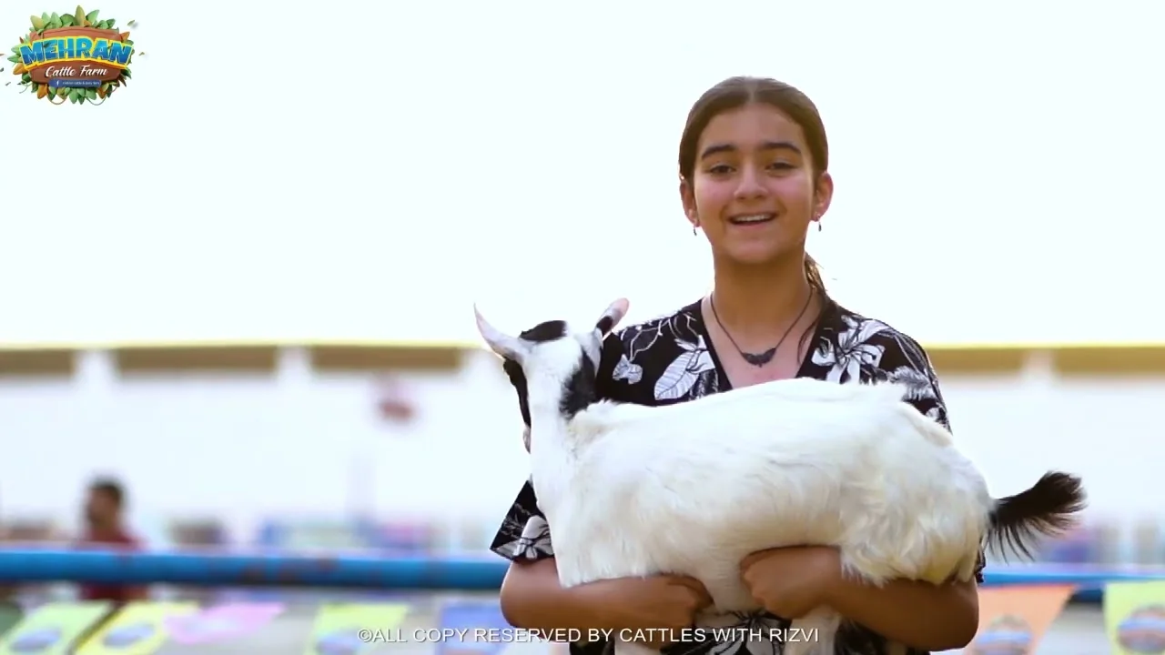 A young visitor holding a kid goat